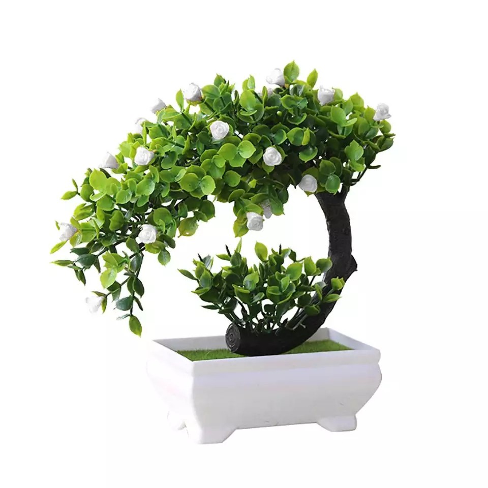 Chậu cây bonsai phú quý tài lộc trang trí nhà cửa kích thước 20cmx19cm