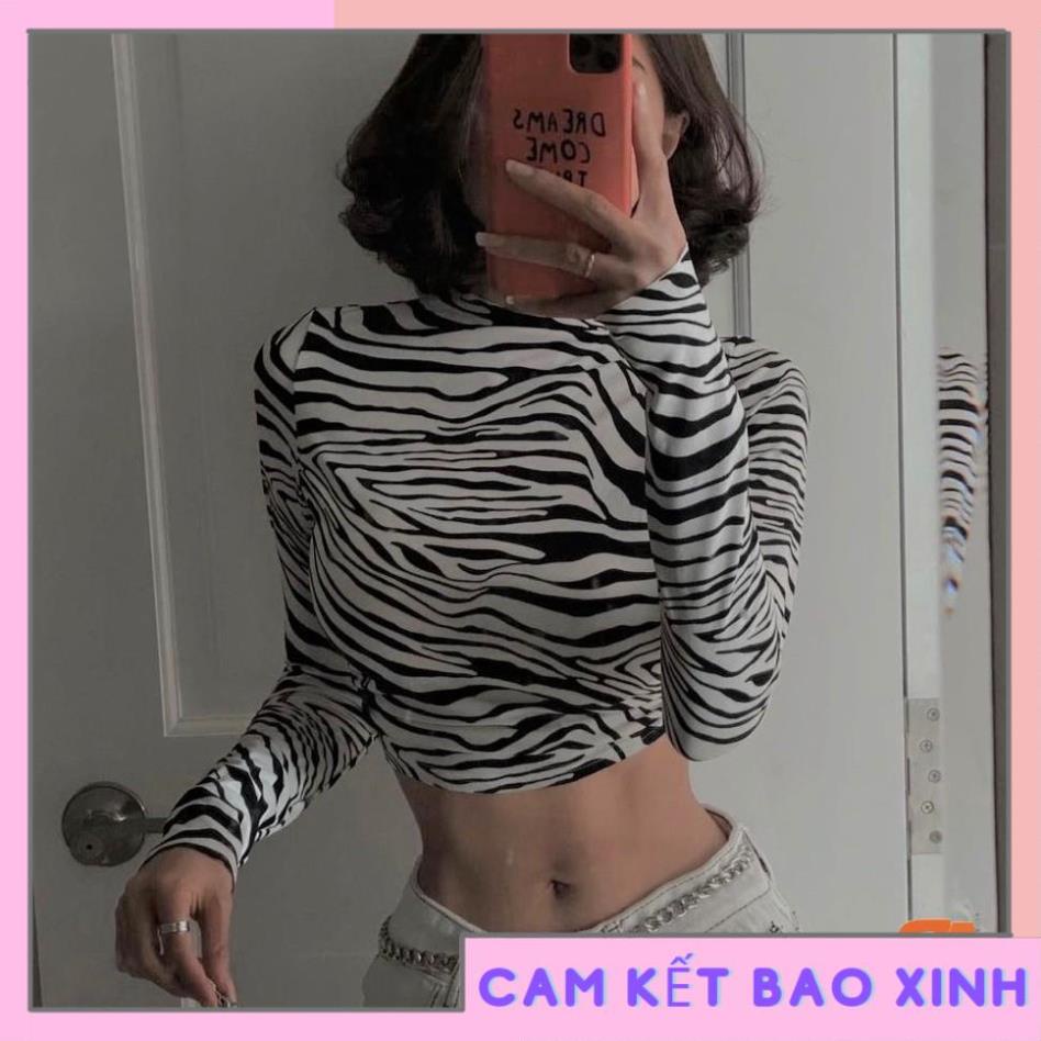 Áo croptop nữ kiểu vằn khoét lưng tay dài [Hàng Đẹp]