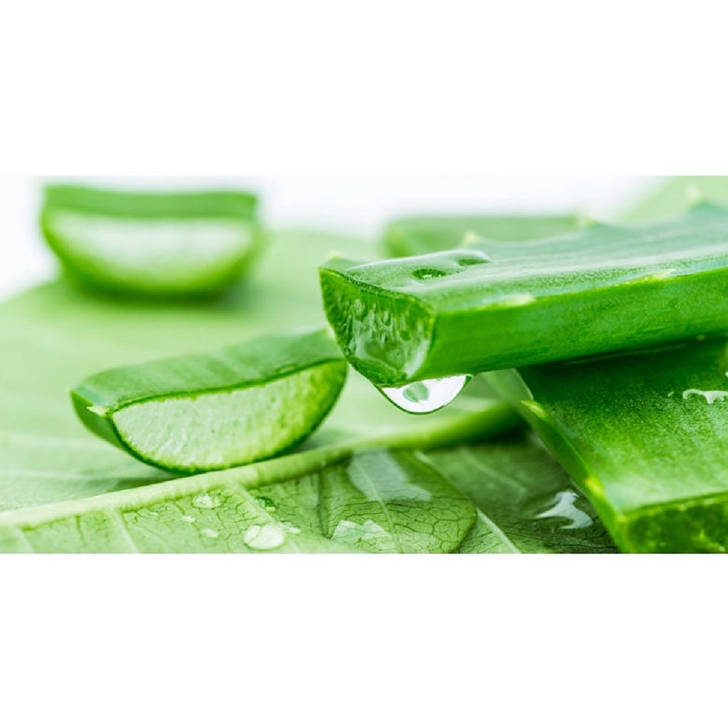 Sữa Rửa Mặt Lô Hội Nature Republic Fresh Herb Aloe Cleansing Foam 170ml