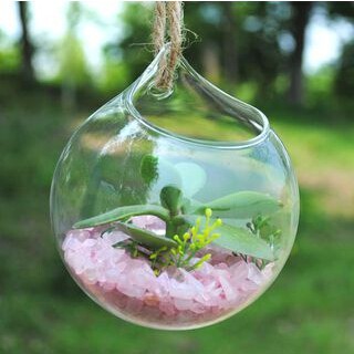 Bình lỗ trên nuôi cá