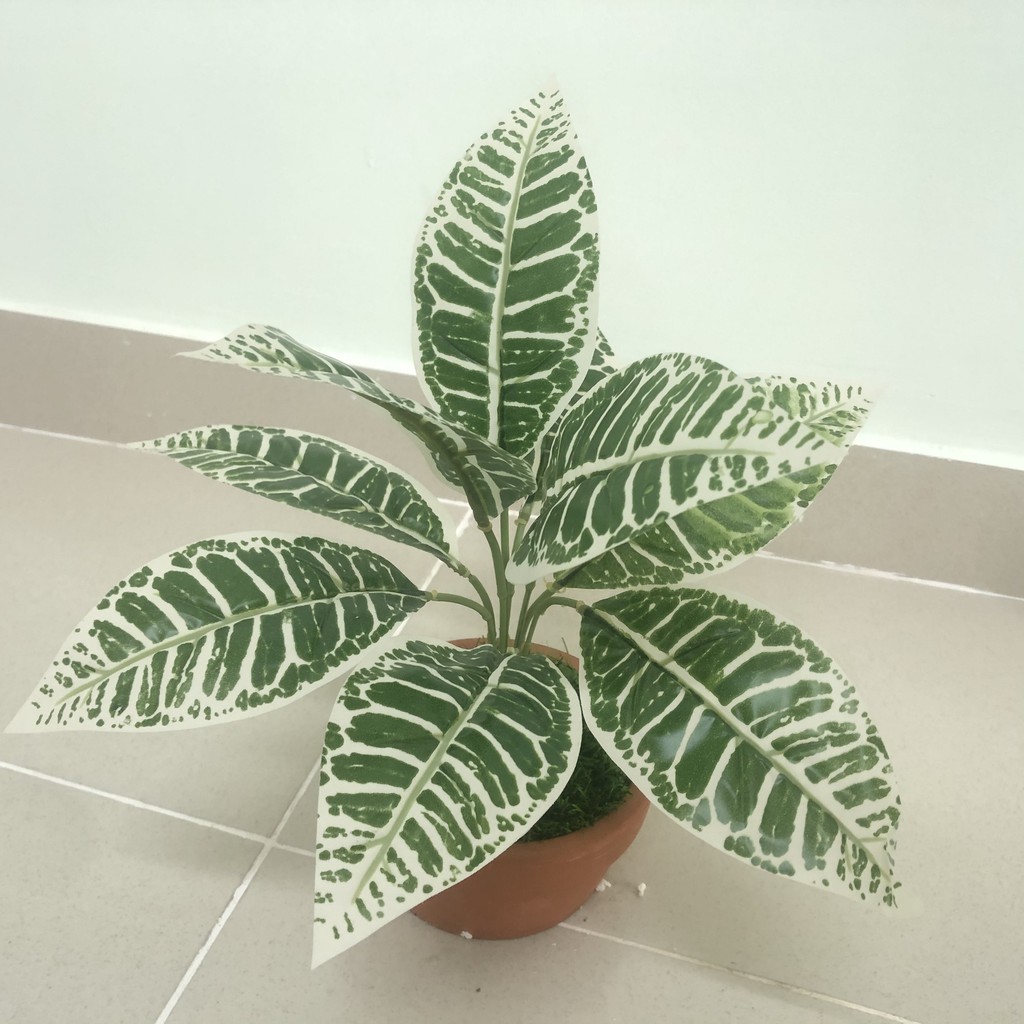 Cây giả trang trí  - Cành lá giá - YY-35