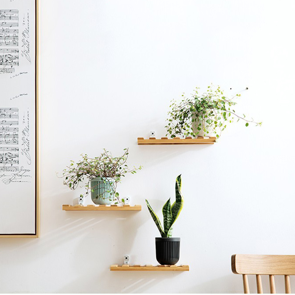 1 Chậu Hoa Bằng Nhựa Nhiều Màu Sắc Hai Lớp Trang Trí Nhà Cửa