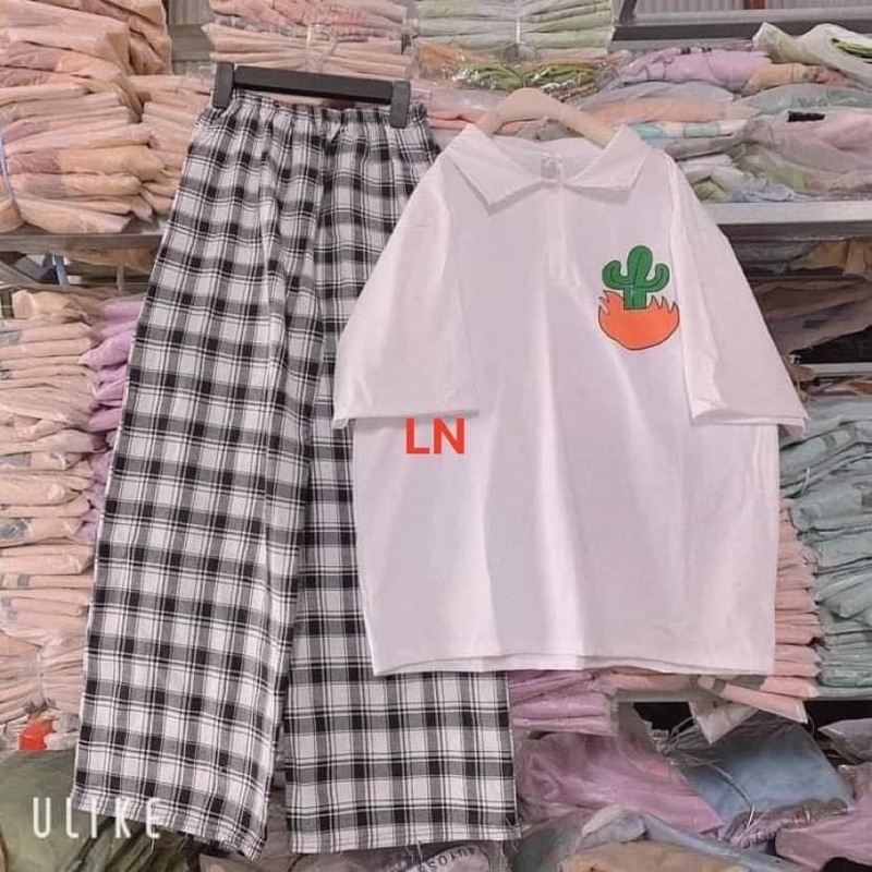 Sét áo polo sương rồng ba nhánh +quần kẻ karo trắng LN11