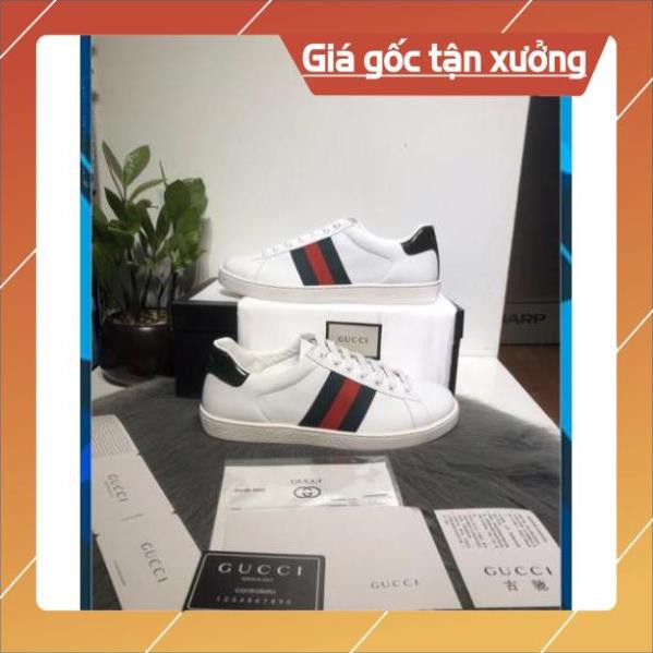 [FreeShip+ Hàng Cao Cấp] Giày thể thao Gucci nam nữ cao cấp, Giày nam nữ Full phụ kiện (ảnh thật)