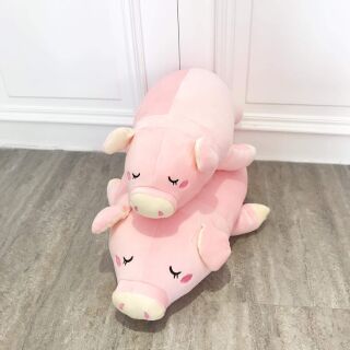 Heo hồng nằm little cucu