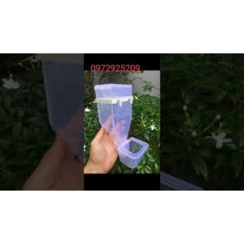 Hộp cám tự động cho chim cảnh .gà đá .gà chọi .cu gáy bồ câu