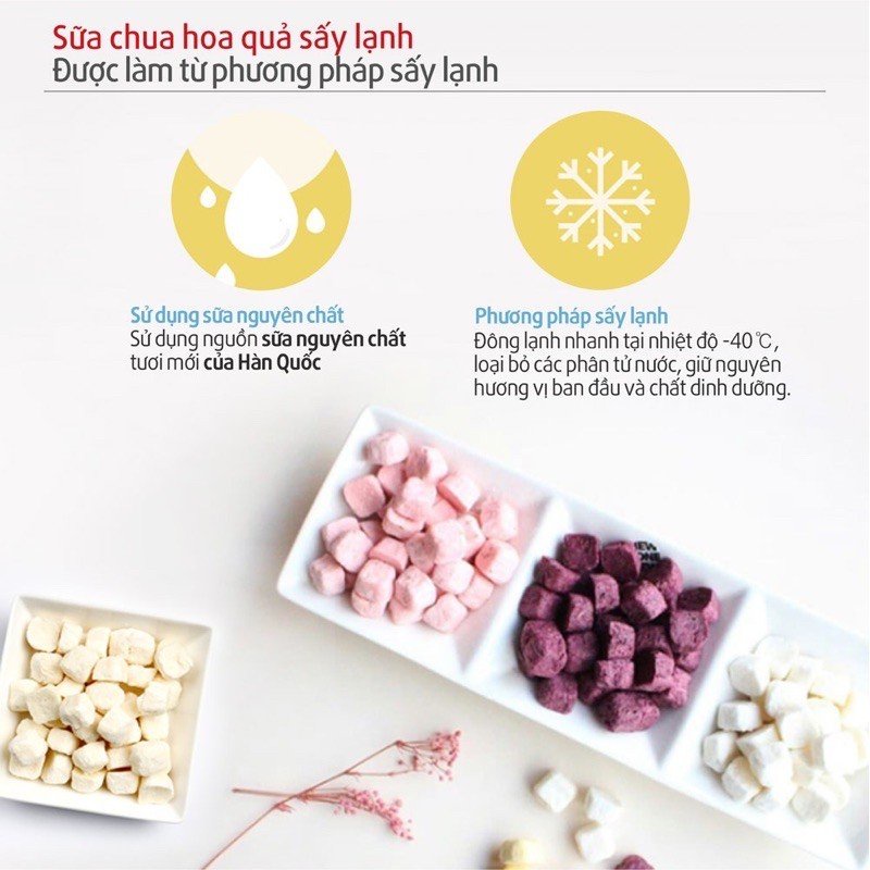 Sữa Chua Khô Sấy Lạnh Bebedang Cho Bé