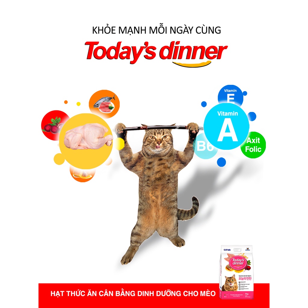 Thức ăn hạt mèo Today's dinner của Hàn Quốc - Gói tiết kiệm