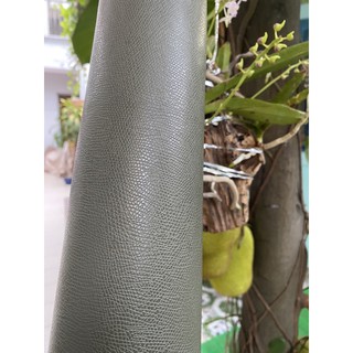 da epsom nhiều màu