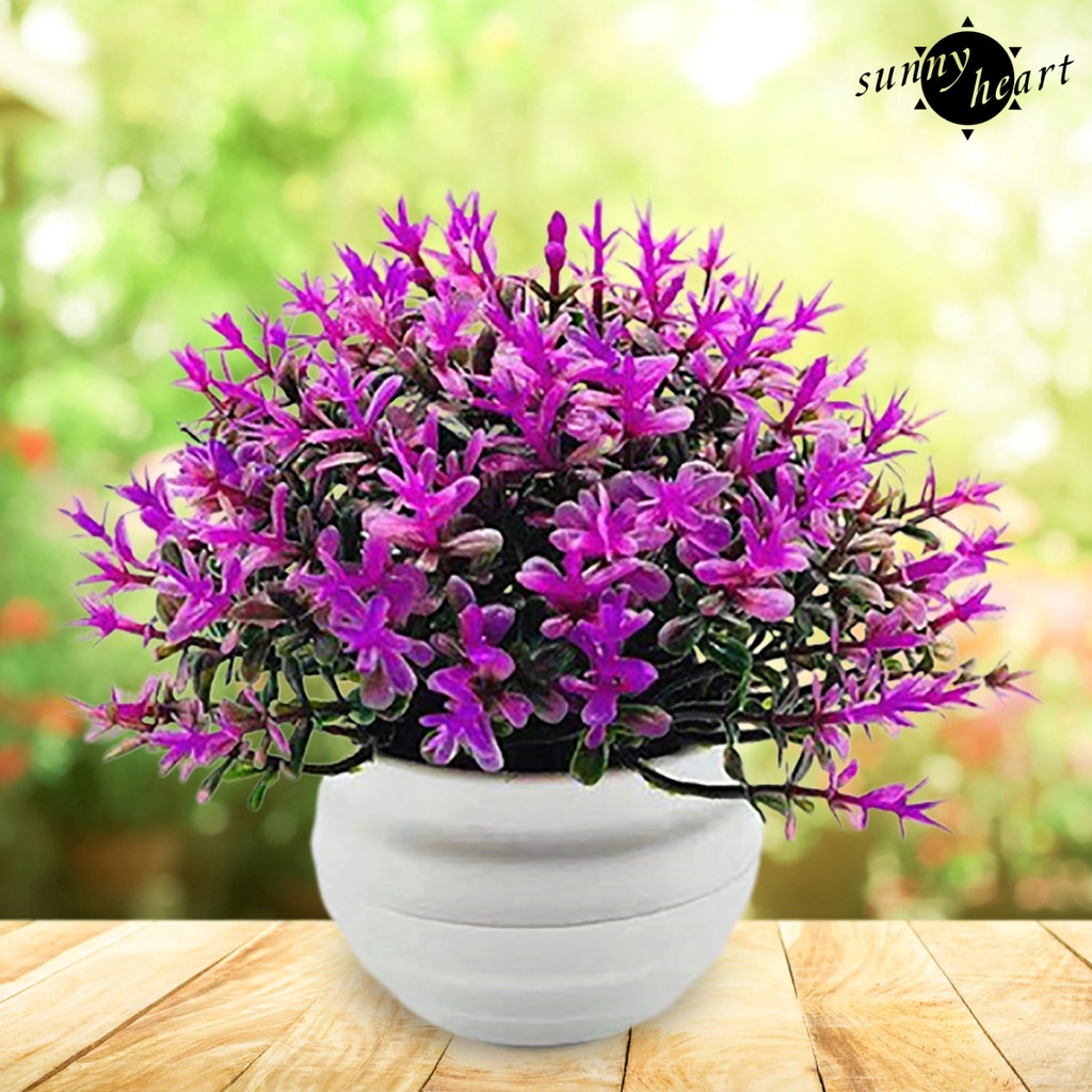 1 Bộ Chậu Cây Nhựa Nhân Tạo Để Bàn Trang Trí