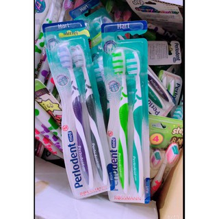 Set bàn chải Perlodent nội địa Đức