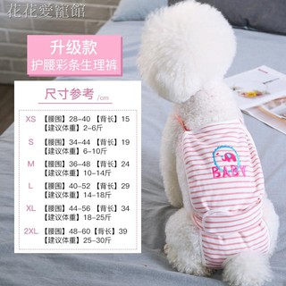Quần Lót Sinh Lý Cho Thú Cưng