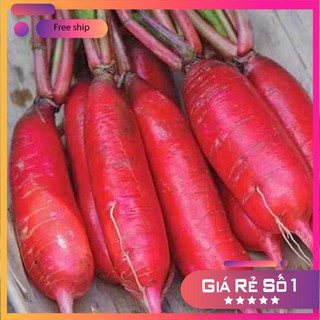 Hạt giống Củ Cải Đỏ Dài (20g)