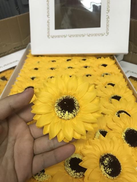 Sỉ hộp 50 bông hoa sáp hướng dương - HN5