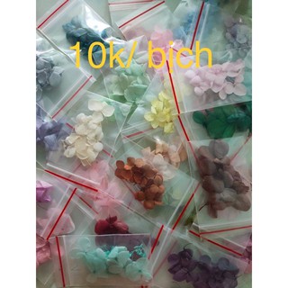 Hoa khô nail - hoa khô dán móng -hoa khô trang trí móng - phụ kiện nail