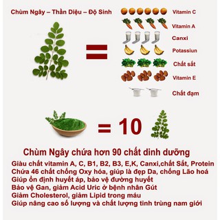 Hạt Giống Chùm Ngay