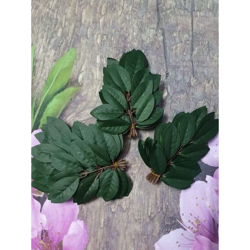 Combo 3 bó Lá bồ công anh