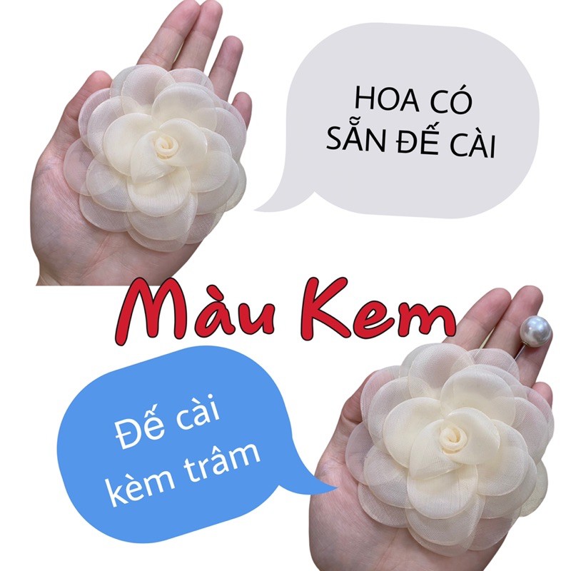 Tag hoa trà voan đốt lớn ảnh chính chủ chụp