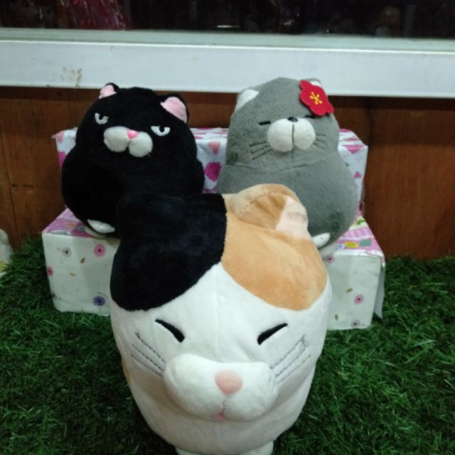 Combo gấu bông 3 mèo