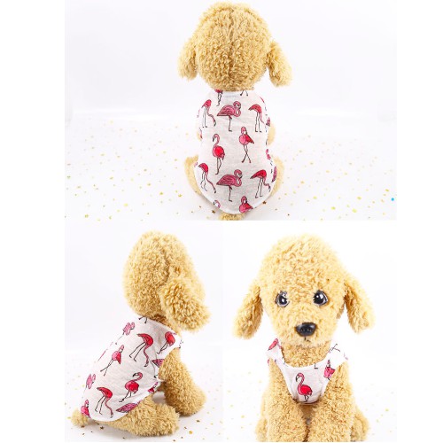 ÁO CHÓ MÈO - BA LỖ MỎNG HOẠ TIẾT CUTE