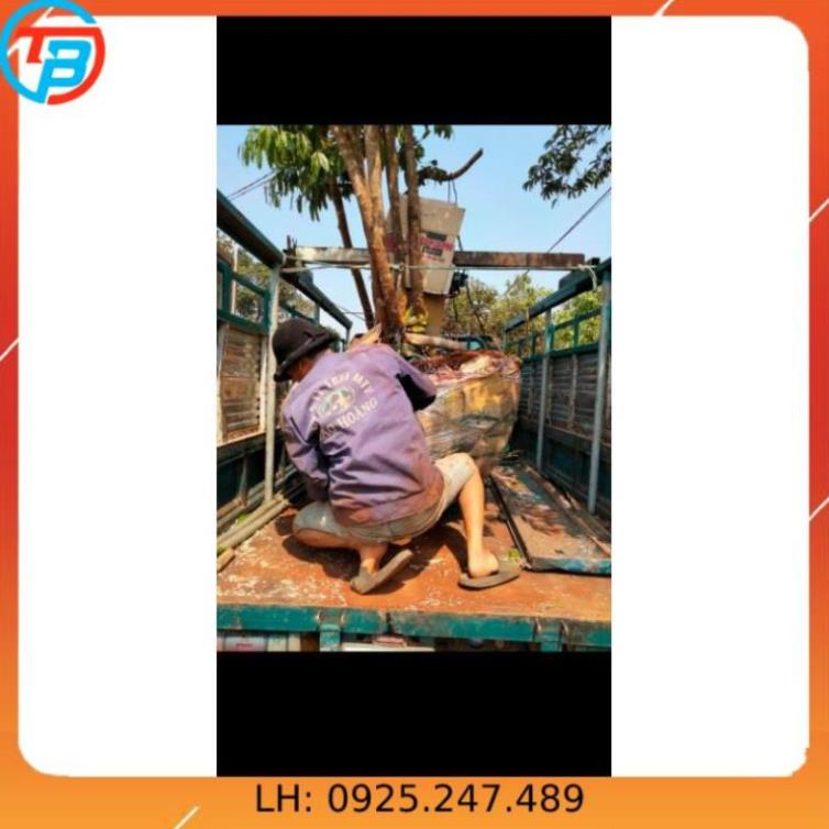 Tời điện 12V _tời kéo xe 6000Lbs (2600kg) CÁP THÉP Thái Bình Vina