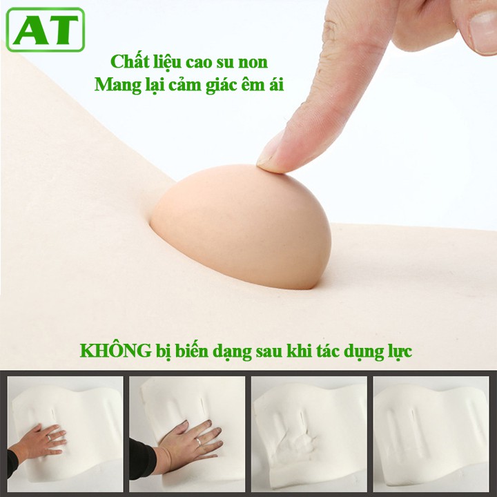 Gối Tựa Đầu Và Lưng Cao Su Non Siêu Đàn Hồi Không Xẹp Lún HK-189