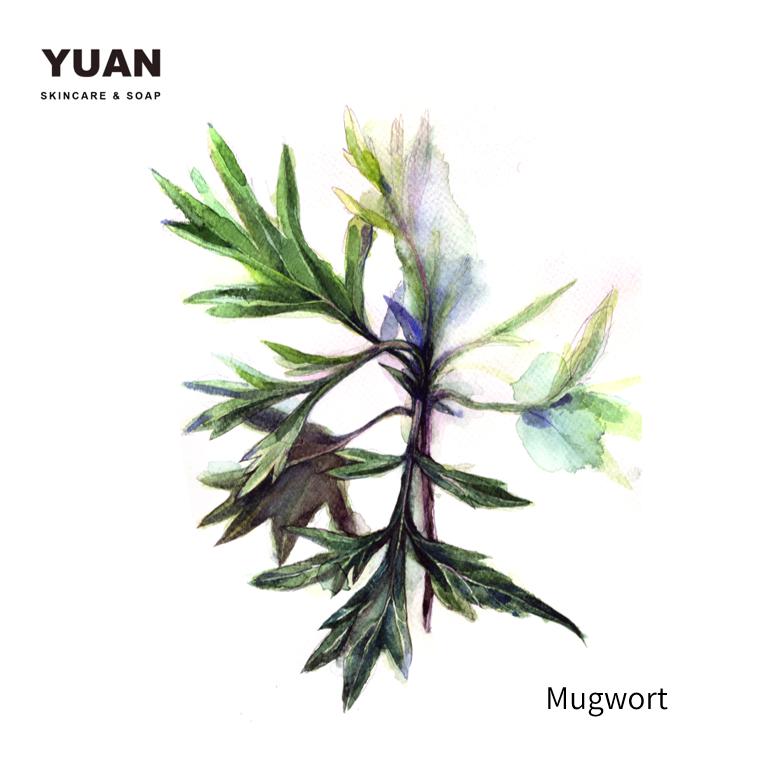 Xà phòng Ngải Cứu YUAN Đài Loan - 100g | BigBuy360 - bigbuy360.vn