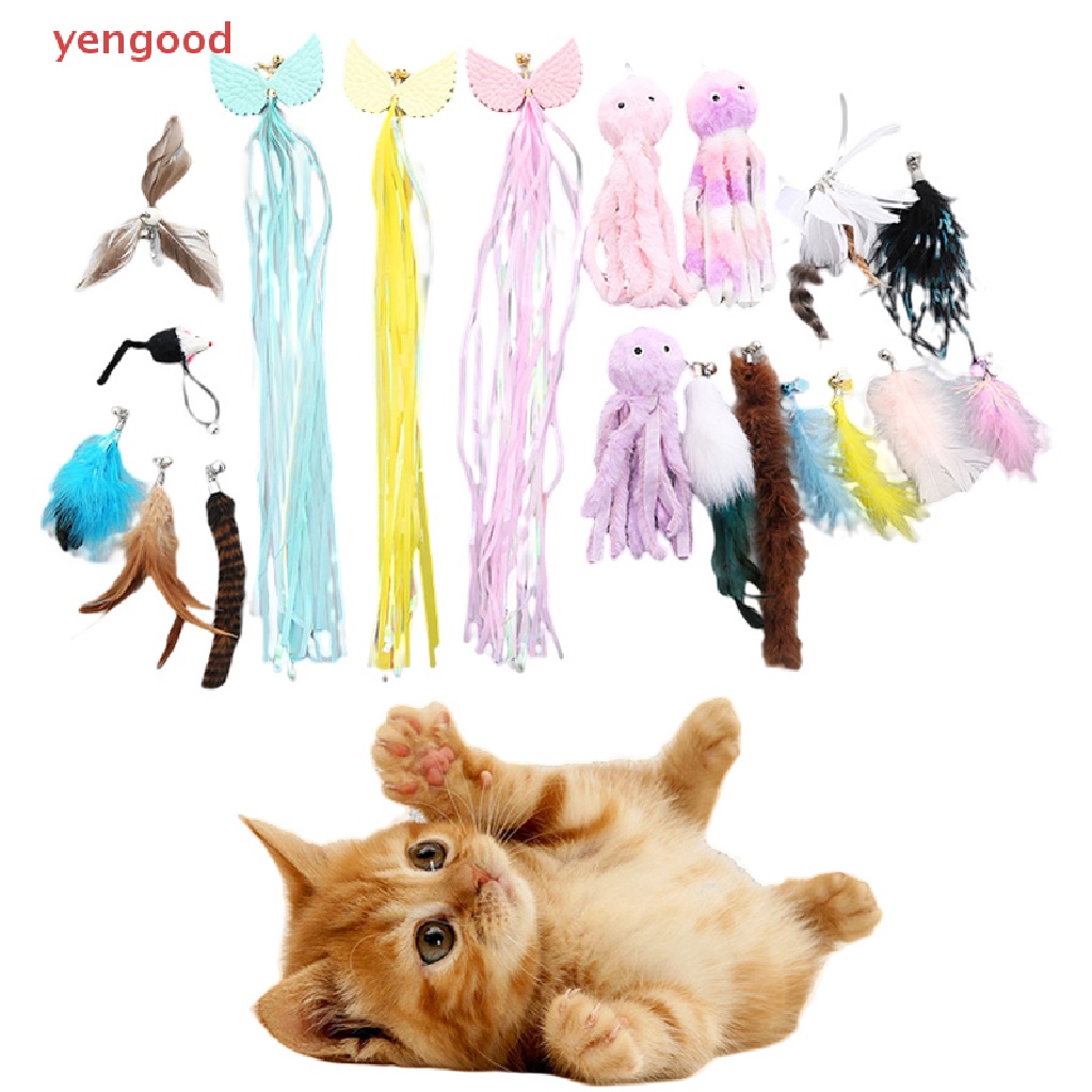 Đồ Chơi Lông Vũ Thay Thế Dành Cho Mèo Cưng