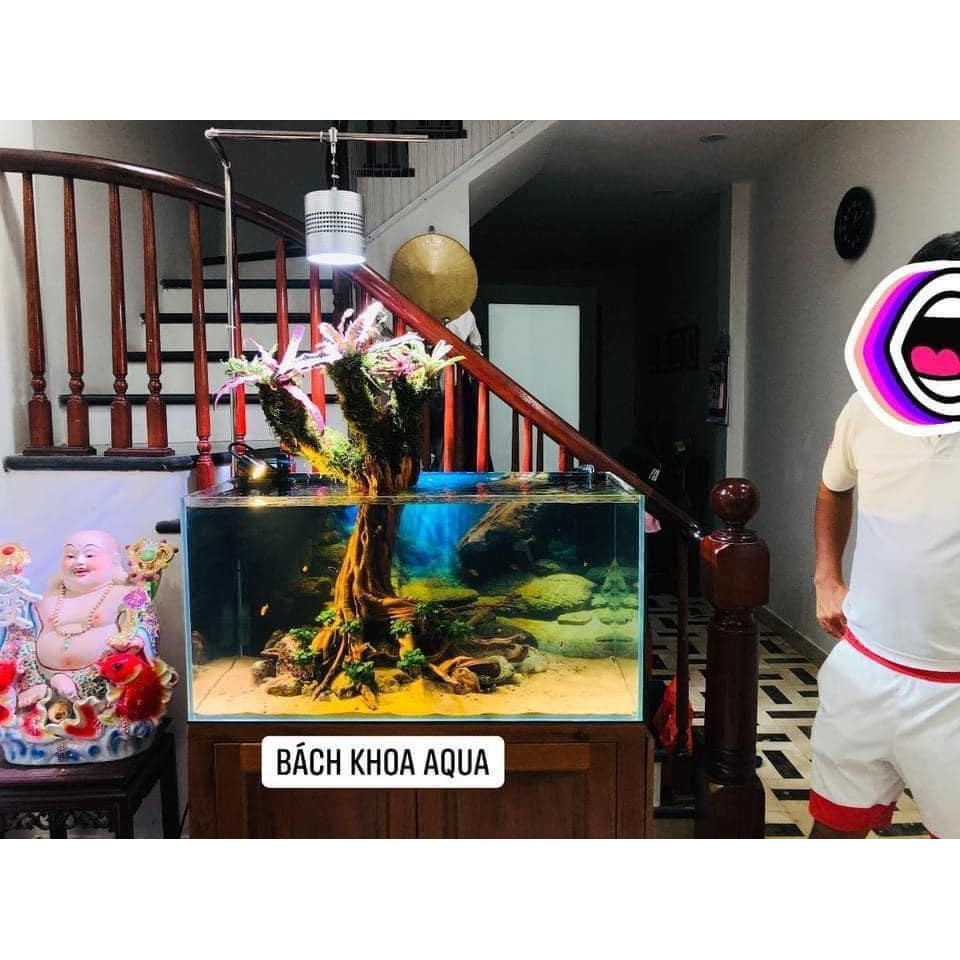 Đèn Led Week RGB T70 -T90 PRO