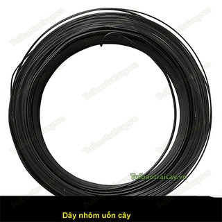 200g Dây uốn cây cảnh lõi nhôm 4mm - D72A
