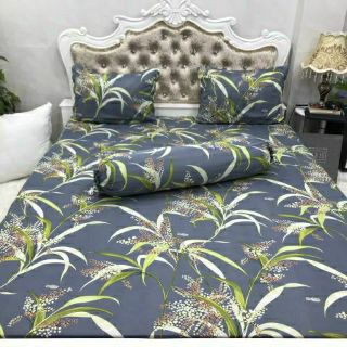 Bộ Drap Thun Hàn Quốc