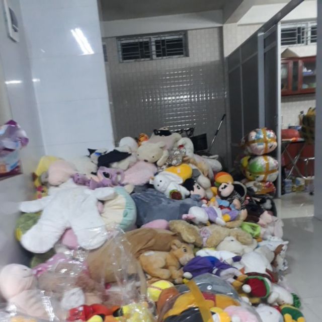 Gấu bông oanh