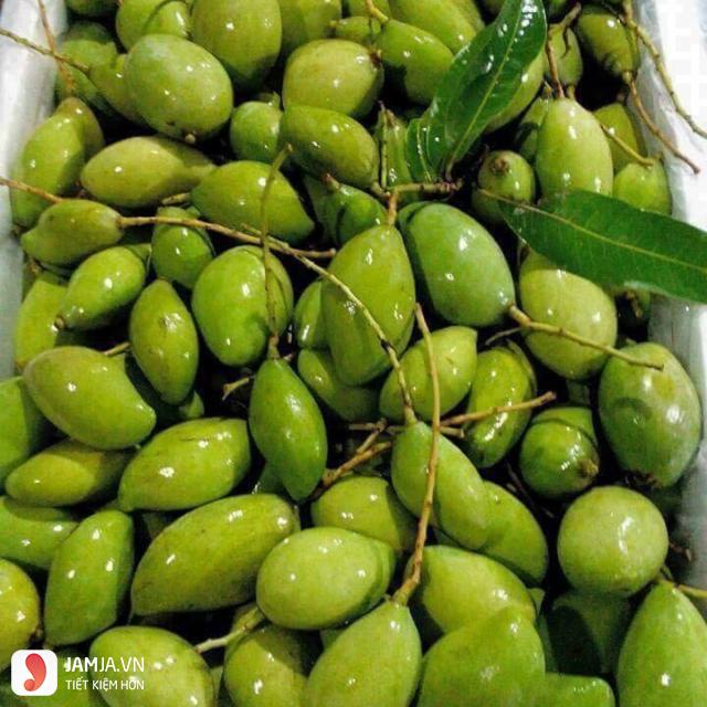 Xoài bao tử, giống xoài non ăn cực ngon, giòn, cam kết 6 tháng xơi quả