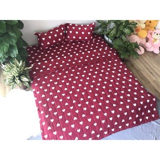Set ga kèm 2 vỏ gối siêu hạt rẻ
