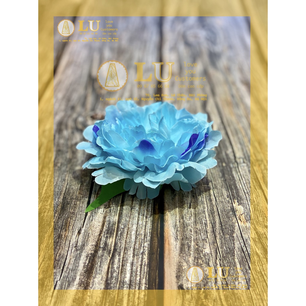 Đầu hoa mẫu đơn | LU