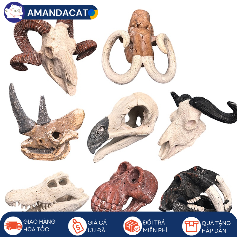 Đồ chơi đào hóa thạch đầu động vật, đầu vượn người, hổ răng nanh, chim ưng Size to. Đồ chơi giáo dục.