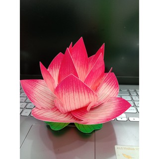 Lồng đèn hoa sen