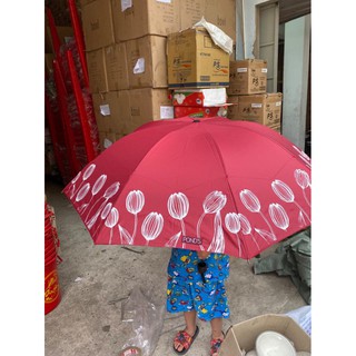 DÙ CẦM TAY POND GẤP GỌN