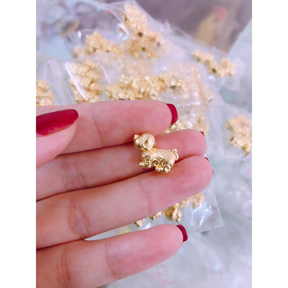 Cham chó bạc ta
