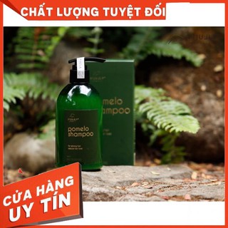 Dầu gội bưởi