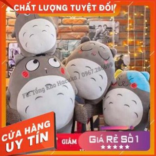 Totoro gấu bông thú nhồi bông mbthu82