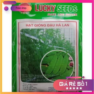 HẠT GIỐNG ĐẬU HÀ LAN LUCKY.VN
