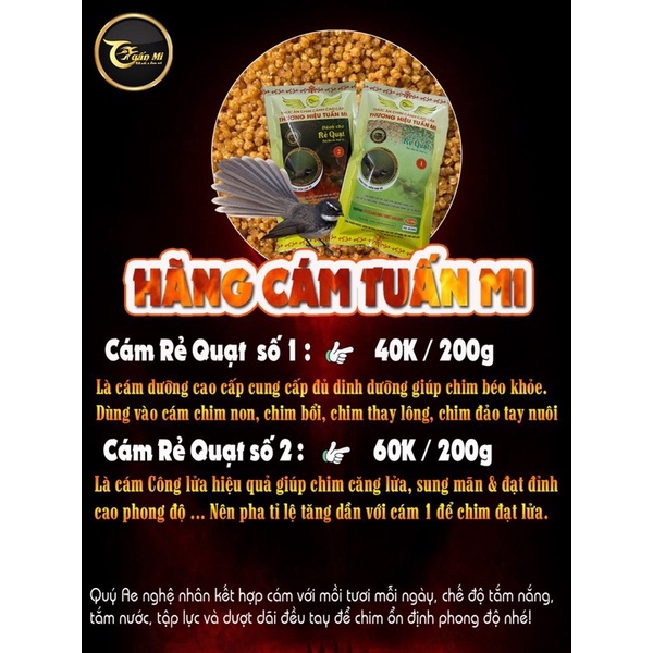 CÁM RẺ QUẠT SỐ 1 TUẤN MI