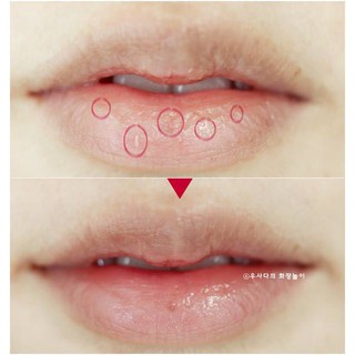Son Dưỡng Môi Giữ Ẩm Chapstick 4g