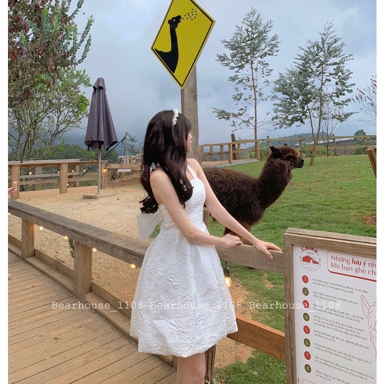 ❌ ĐẦM - VÁY GẤM HỞ LƯNG ĐI TIỆC * VENUS * | BigBuy360 - bigbuy360.vn