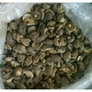 Sỉ giá gốc nấm hương 100g - 200g - 300g