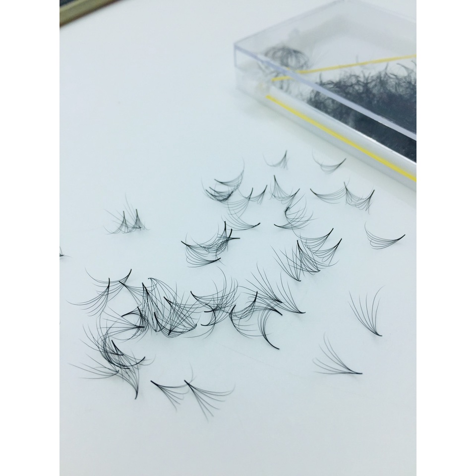 Mi Fan 6D SOLE dày 0.07 - MI CAMELIA 6D - Dụng cụ nối mi - Mi giả - Be Lash
