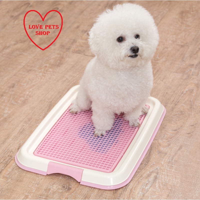 KHAY VỆ SINH CHO CHÓ SIZE NHỎ 47*35*3.5CM -  LOVE PETS SHOP