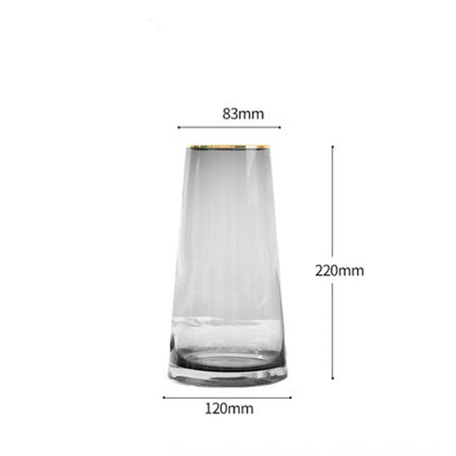 Lọ hoa thuỷ tinh Symphony trang trí phong cách Bắc Âu mạ viền miệng lọ - Daisy.decor - Hàng có sẵn