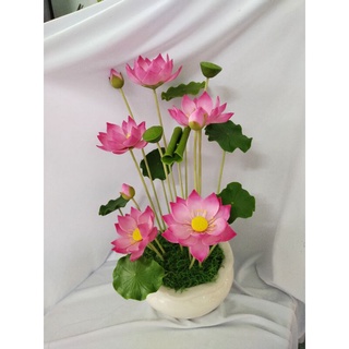 Chậu sen size trung cao 43 đến 45cm